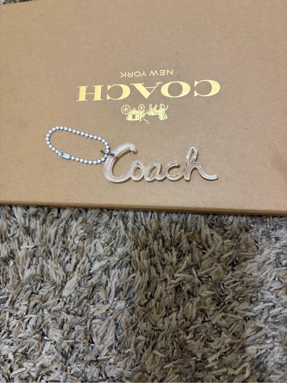 Coach Clear Script Logo Bag Charm with Silver-Tone Chain